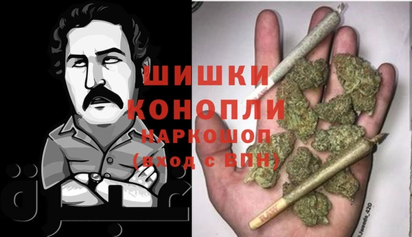PSILOCYBIN Беломорск