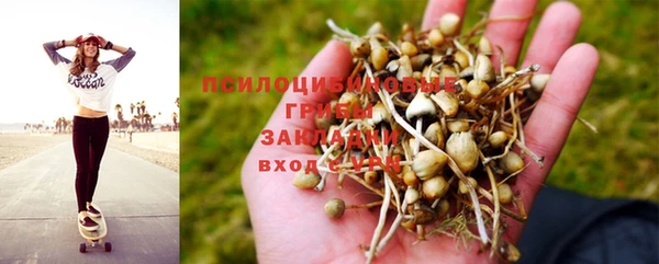 PSILOCYBIN Беломорск
