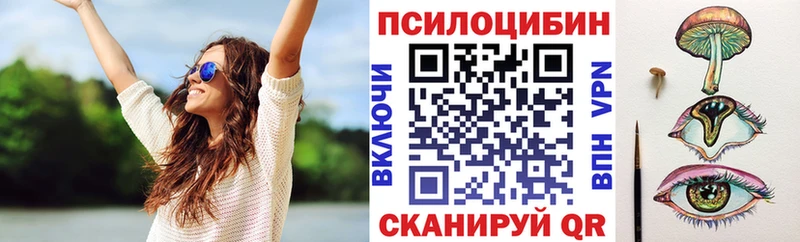 наркотики  Выкса  Псилоцибиновые грибы мухоморы 