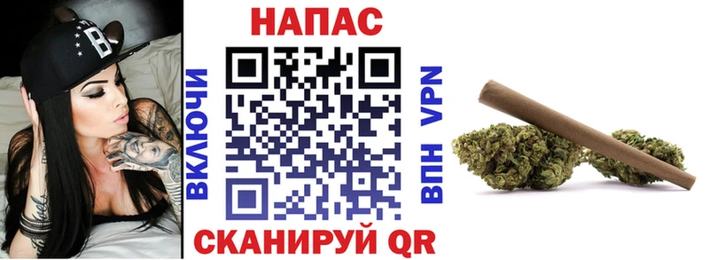 цена наркотик  Выкса  Конопля сатива 